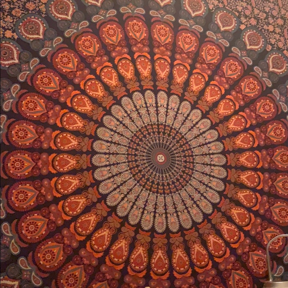 Meet your Posher, Zuzu